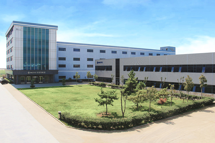 Qingdao DMD Medical Technology Co., LTD 