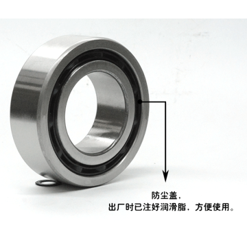 China Top 10 Double Row Needle Bearing Potential Enterprises