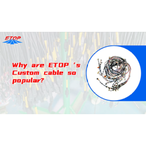 custom wire harnesses and connectors