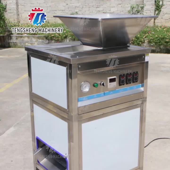 Máquina descascadora de cebola comercial e industrial TS-P600