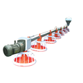 Automatic Poultry Farm Equipment for Chicken Feed System1