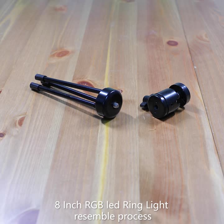 （1080P） Kit de luz de anillo RGB de 8 pulgadas