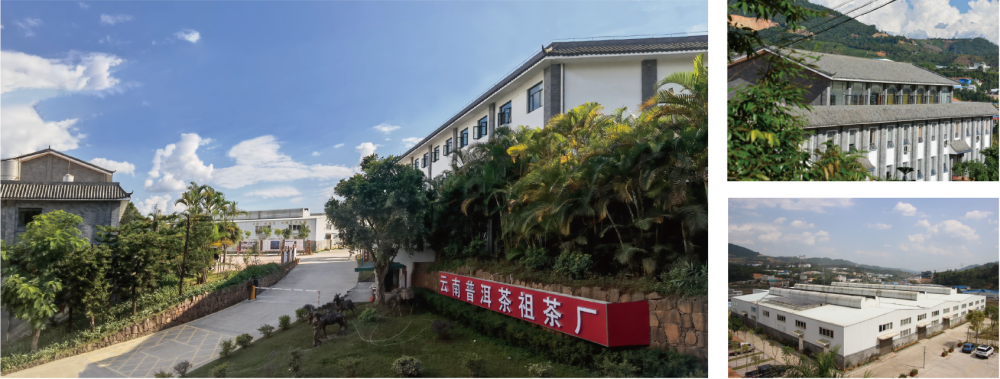 茶厂门口