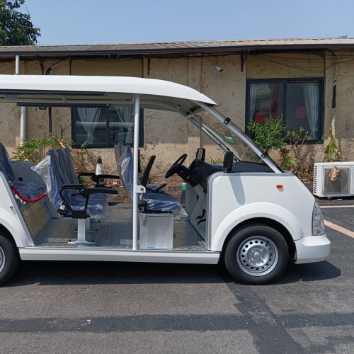 Requirements of Electric Sightseeing Car for batteries