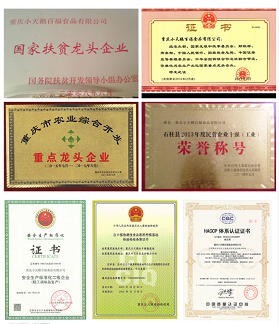 ChongQing Baifu Foods Co., Ltd.
