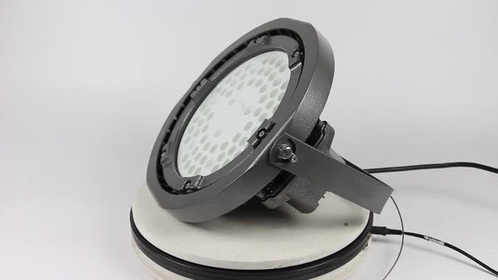 Explosion proof light-8239-150W