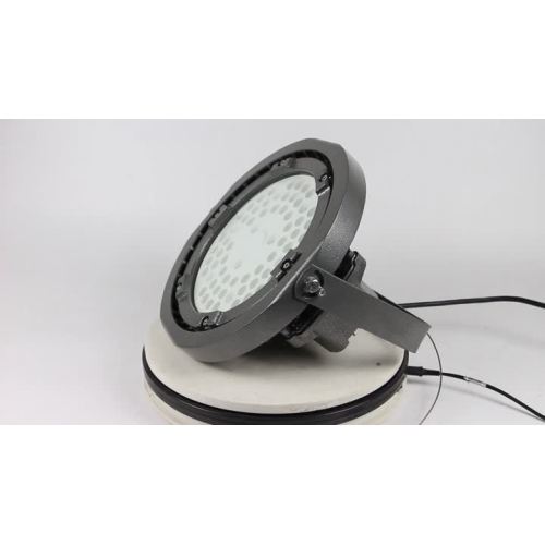 Explosion Proof Light-8239-150W