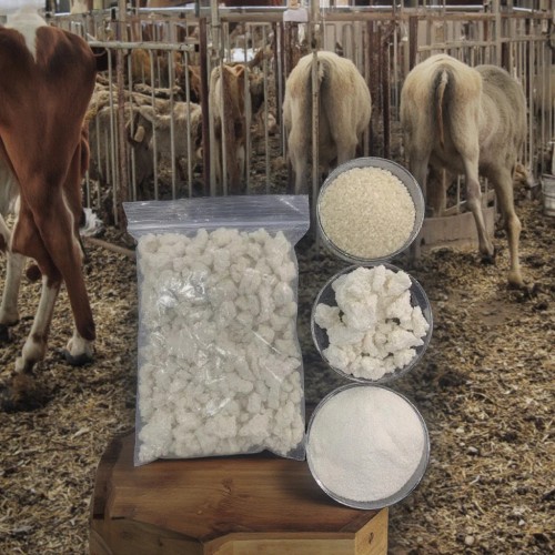 Rice protein meal Feed Additives Introduction