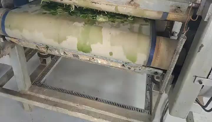 Filtre de presse à courroie pour le séchage des légumes