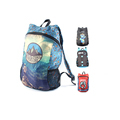 Factory Direct Waterproof Nylon Folding Backpack for Sports and Hiking1