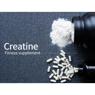 What Is Creatine?