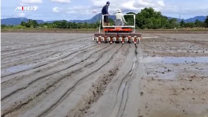 Plantadeira para máquina semeadora