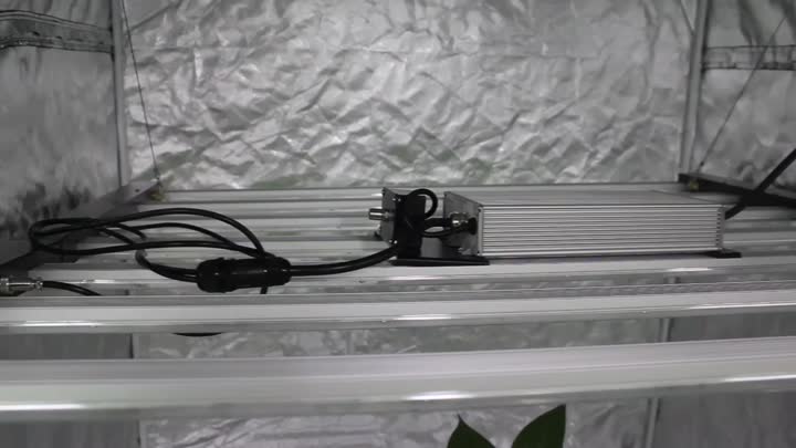 Samsung 1000w Led Grow Grow Grow Light Lm301h Evo, Bossgoo.com의 고품질 ...