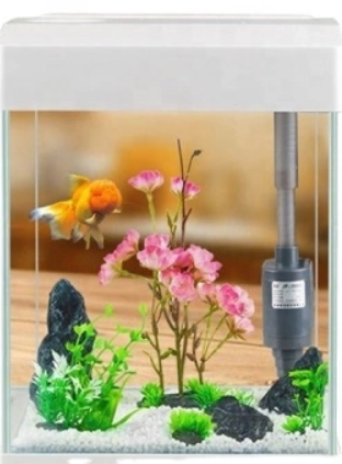 Mini High end Landscaping Fish Tank