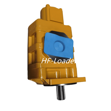 Hydraulic gear pump attention points