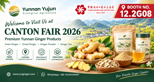La empresa acelera la preparación para la Feria de Cantón y la Exposición de Exportaciones Extranjeras de la Marca China de Hainan