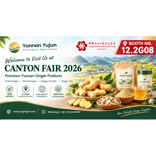 La empresa acelera la preparación para la Feria de Cantón y la Exposición de Exportaciones Extranjeras de la Marca China de Hainan