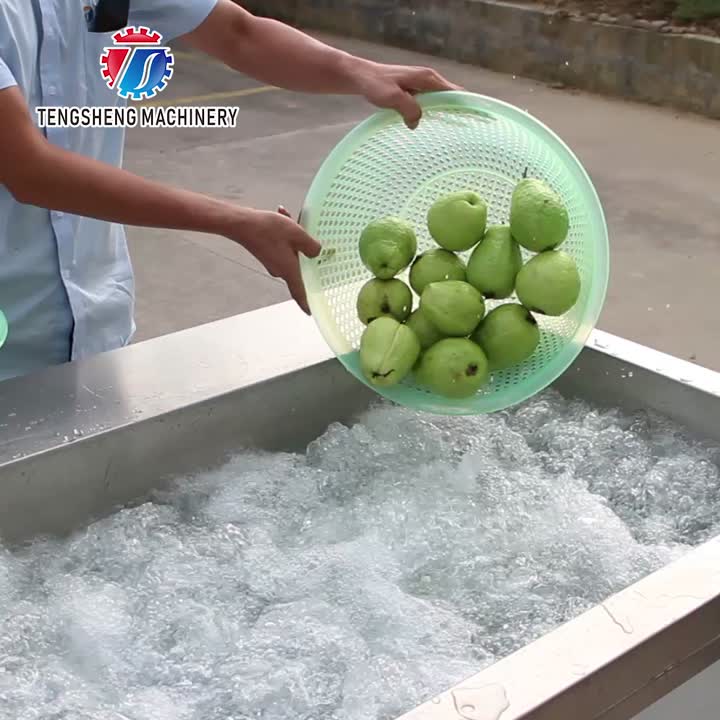 Máquina de lavar frutas e vegetais TS-X300M, pimentão