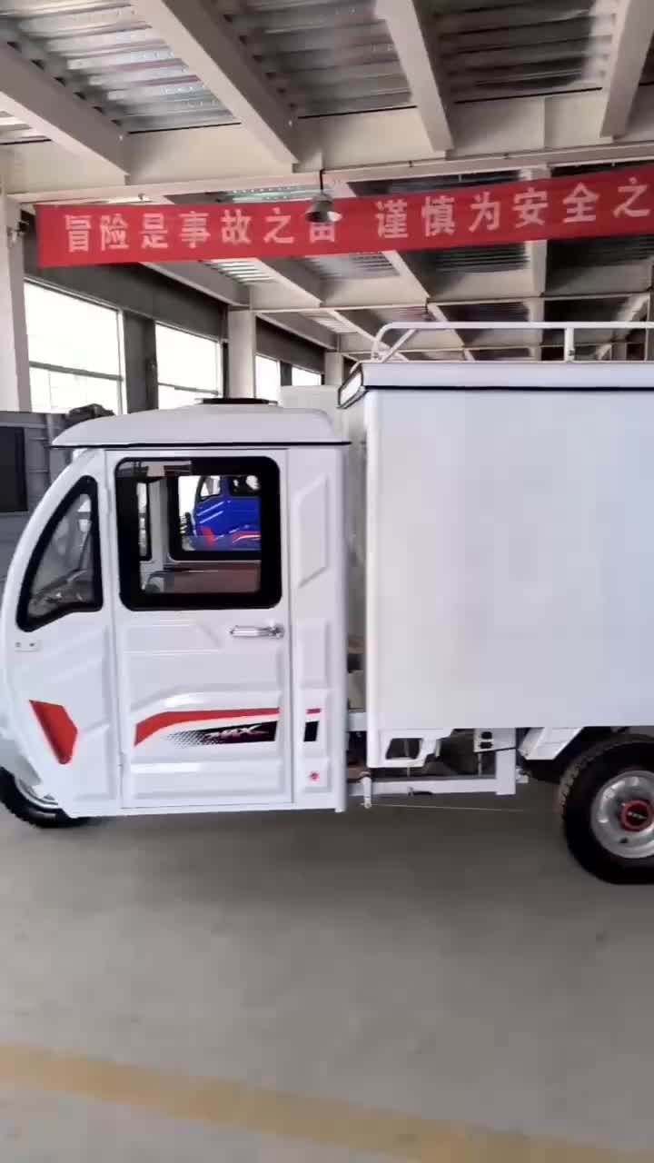 Tricycle cargo cart with double doors
