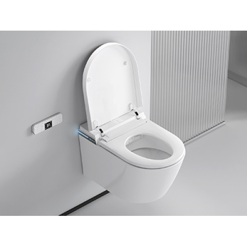 Is Smart Toilet geschikt voor iedereen?