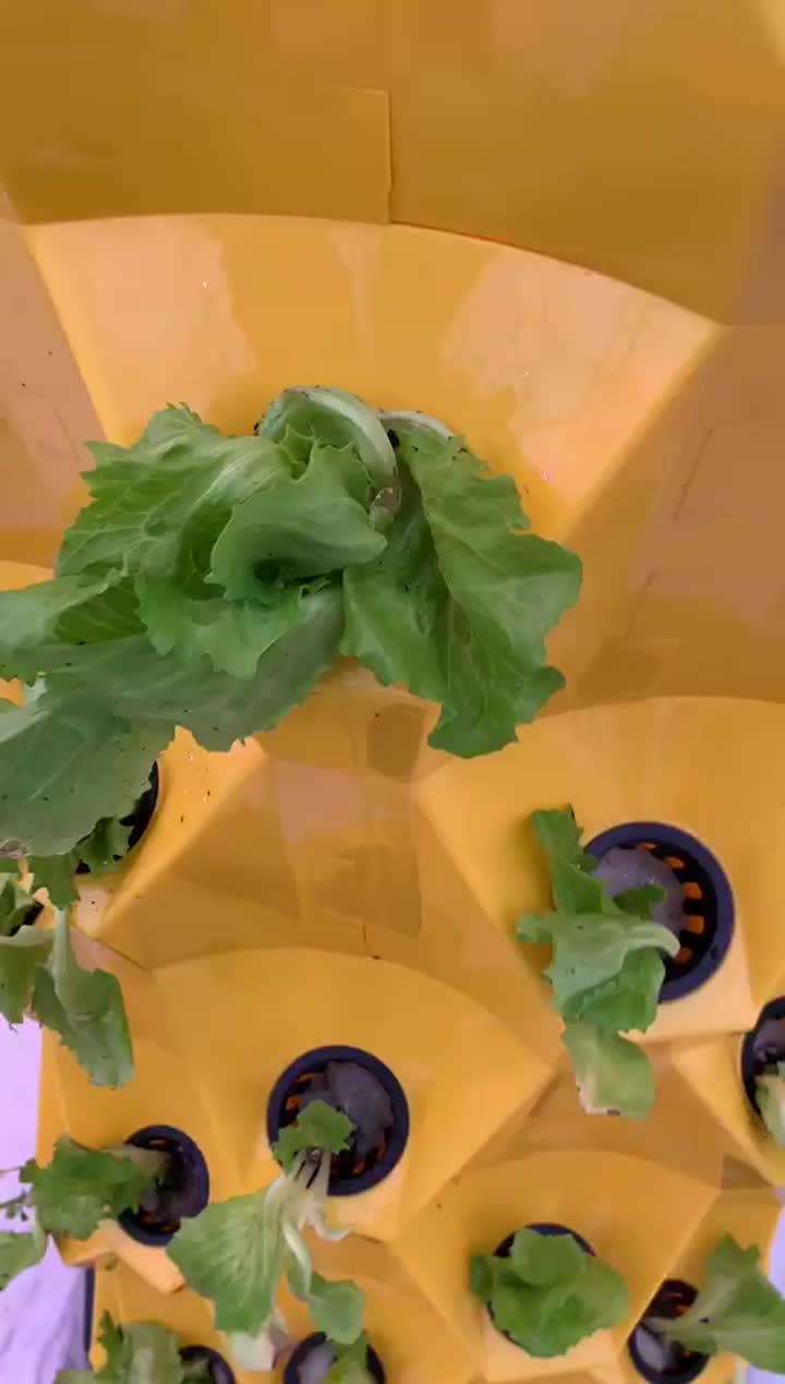 Hydroponic tower