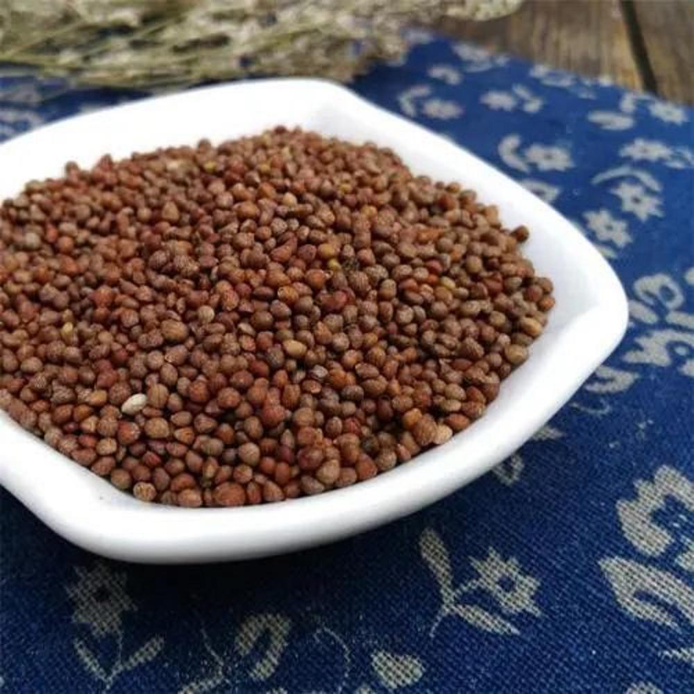 Perilla Seed During Pregnancy