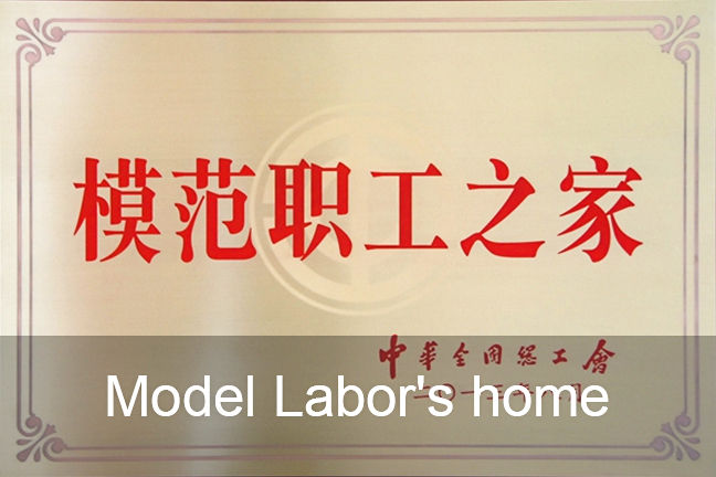 Model Labor's Home