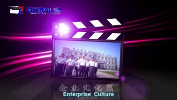 enterprise culture