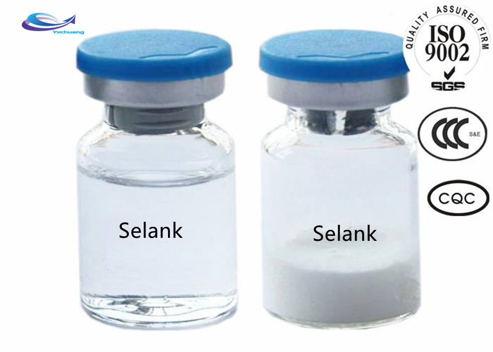 selank mechanism of action