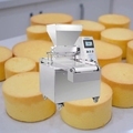 Versatile Fully Automatic Puff Cup Cake Filling Machine: Creating Diverse Culinary Delights1