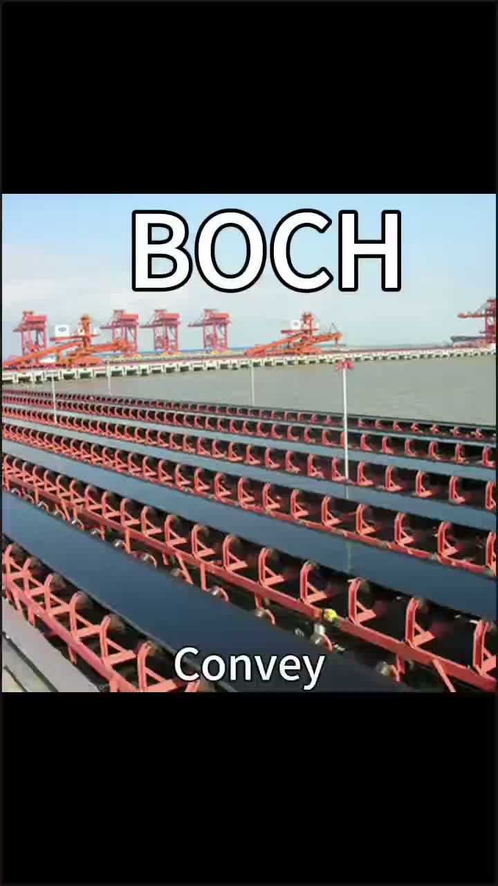 Roller Belt Conveyor