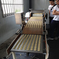 Shanghai OEM Biscuit Shaping Machine1