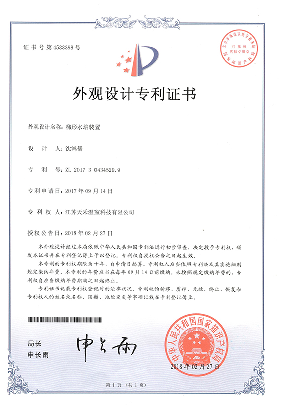 Design patent certificate