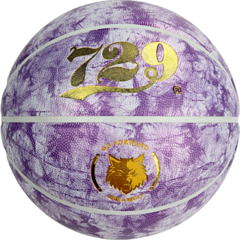 729 SP-7251 Spor Profesyonel Basketbol