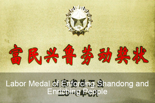 Labor Medal of Enforcing and Enriching People