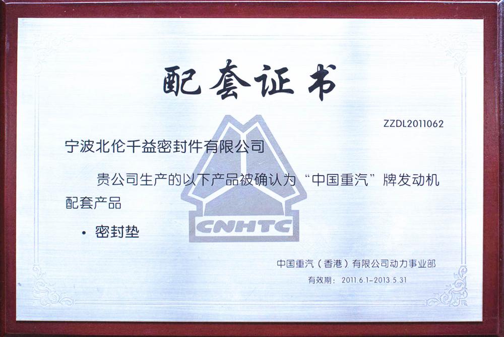 2011-2013 Year SINOTRUK OE Certificate