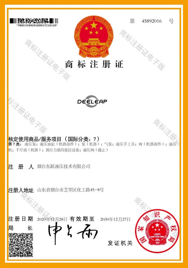 Trademark Registration Certificate