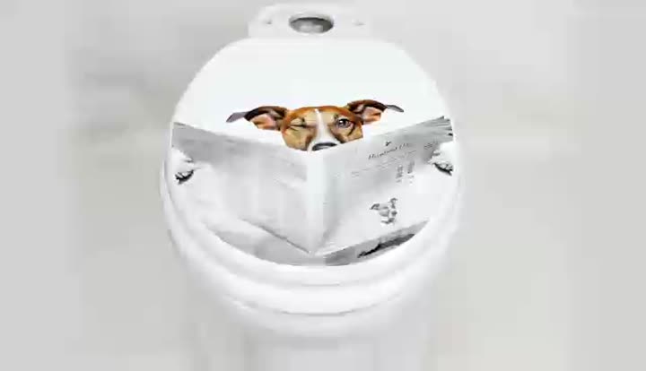 Fanmitrk Toilet seat