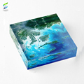 Eyeshine Personalized Acrylic Photo Blocks with Printed Logo1