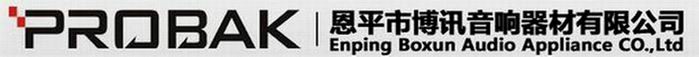 Enping Boxun Audio Appliance Co.,Ltd