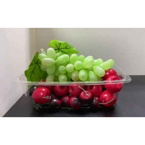 Salad Tub Container