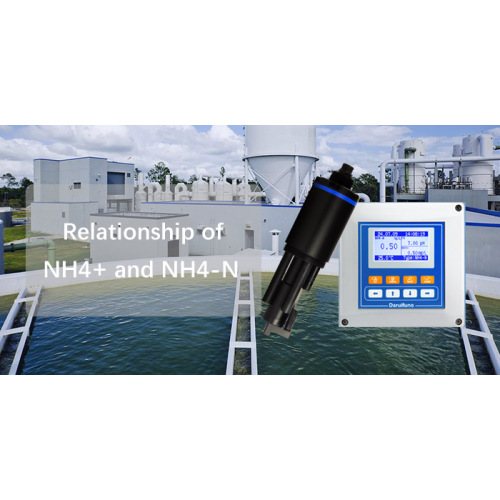 What is the relationship between ammonium ions and ammonia nitrogen in water?