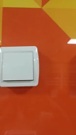 Stopkontak Schuko yang Dipasang di Permukaan Standar Eropa (S8010)1