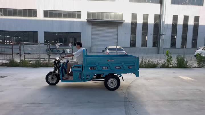 three wheel electric vehicle