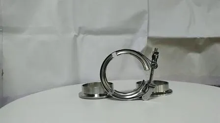 2,0 &quot;2,25&quot; 2,5 &quot;3,0&quot; 4,0 &quot;Accusato di scarico in acciaio inossidabile Accusato1