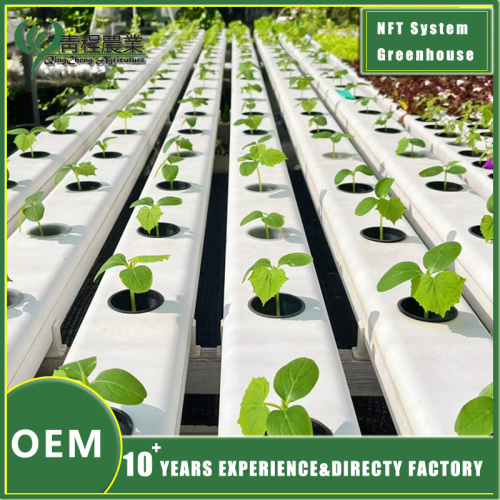 গ্রীনহাউস প্রকল্পে ব্যবহৃত কৃষি ফিল্ম সবচেয়ে সাধারণ ধরনের কি কি?