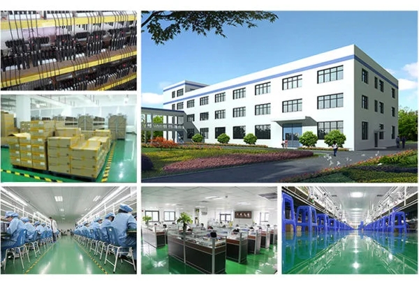 Lensen Electronics Co., Ltd