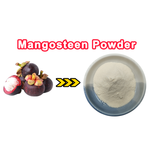 Mangosteen Powder