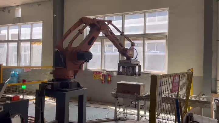 Imballaggio robot di linea di produzione