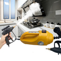 Portable Multi-Function Chemical-Free Pressurized Vapor Disinfection Steam Cleaner for Kitchen Duct Cleaning1